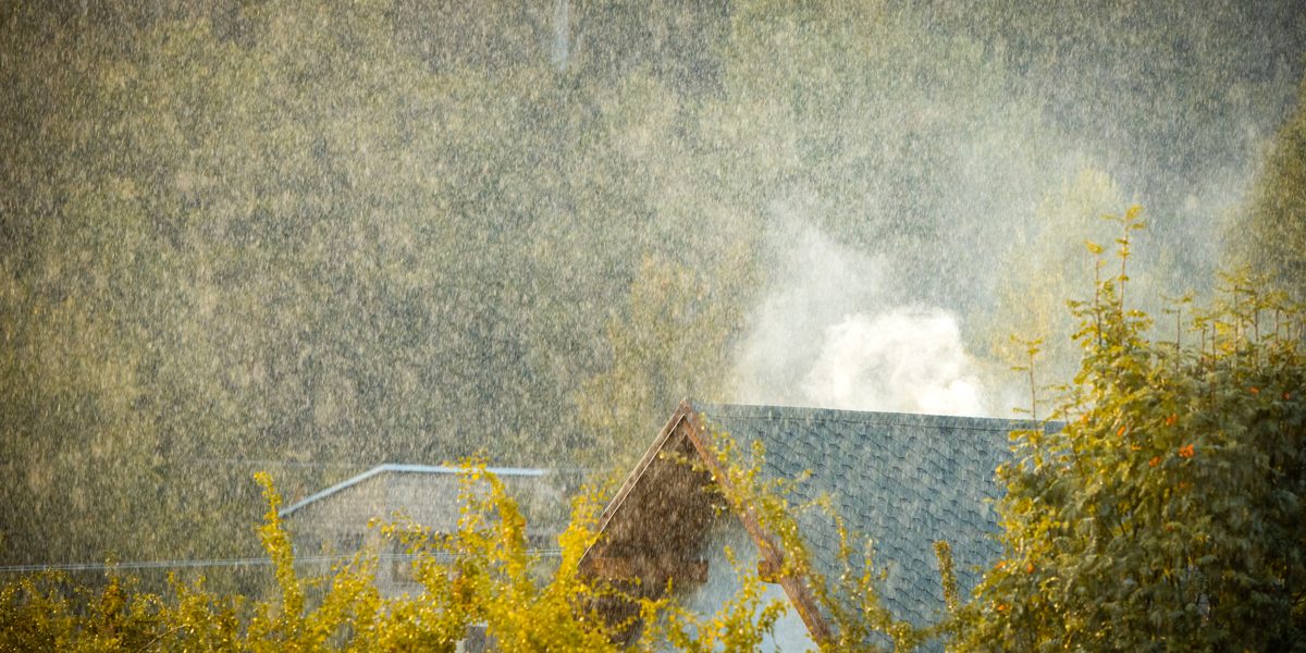 Roof Blistering Vs. Hail Damage Roof Blistering Vs. Hail Damage